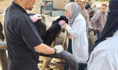 منبر