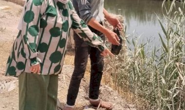 منبر