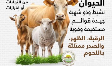 منبر