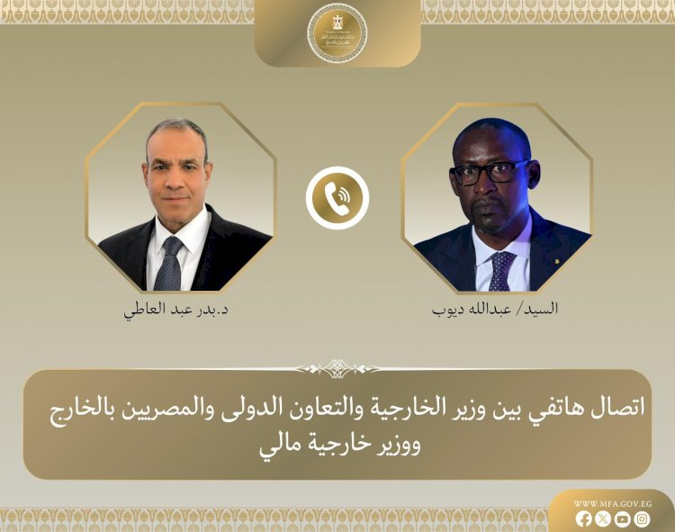 وزير الخارجية يبحث مع نظيره المالي جهود مكافحة الارهاب فى منطقة الساحل