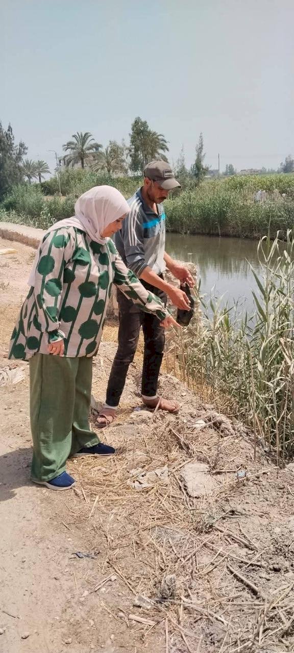 "الزراعة" تتابع ميدانيا أعمال الحملة القومية لمكافحة القوارض بالمحافظات