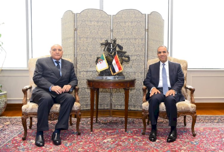 وزير الخارجية يستقبل نظيره الجزائري