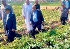 رئيس الإصلاح الزراعي يتابع منظومة العمل والزراعات الصيفية بمحافظة كفر الشيخ