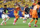 كوت ديفوار تفوز على  الاكوادور في مستهل مبارياتها فى كأس العالم