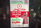 قنا تبدأ حملة ميدانية لنشر ثقافة التعامل السليم مع الكلاب الضالة