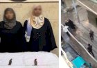 اتخاذ الاجراءات القانونية ضد سيدتين لقيامهن بتهديد نجار بالاسلحة بالبحيرة
