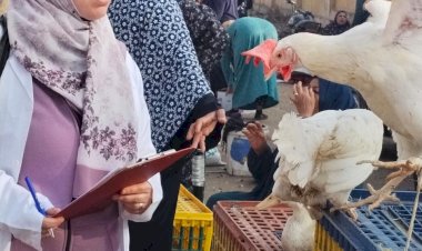 منبر