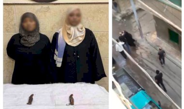 منبر