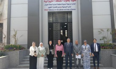 منبر