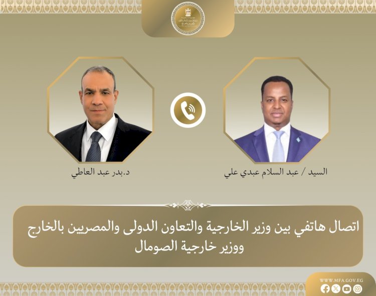 وزير الخارجية ونظيره الصومالي يبحثان تطورات الأوضاع بالصومال