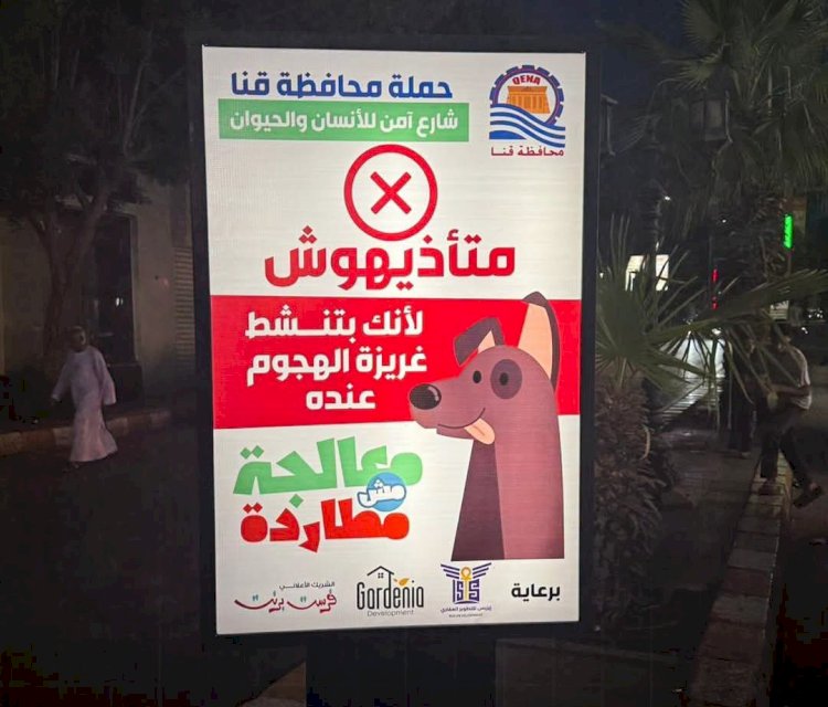 قنا تبدأ حملة ميدانية لنشر ثقافة التعامل السليم مع الكلاب الضالة