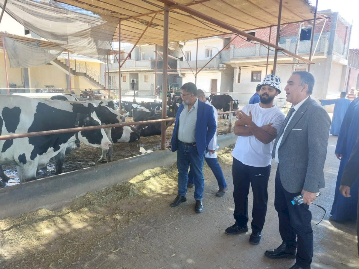 رئيس الخدمات البيطرية يتفقد المنظومة البيطرية بالفيوم لدعم الثروة الحيوانية