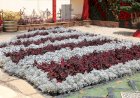 منبر