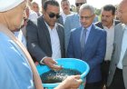 منبر