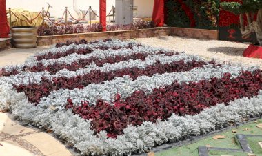منبر