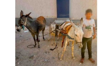 منبر