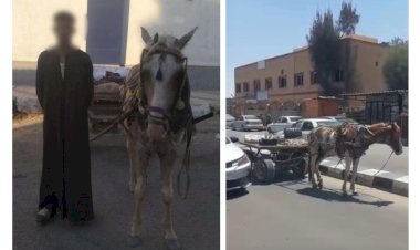 منبر