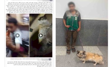 منبر