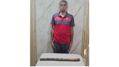 ضبط عاطل لقيامه بالتعدى بالضرب على كلب بعصا خشبية مما أدى لنفوقه بالغربية