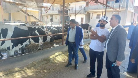 رئيس الخدمات البيطرية يتفقد المنظومة البيطرية بالفيوم لدعم الثروة الحيوانية