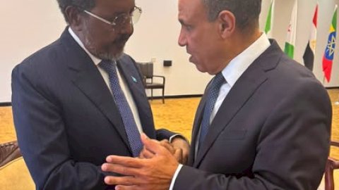 وزير الخارجية يلتقي الرئيس الصومالي