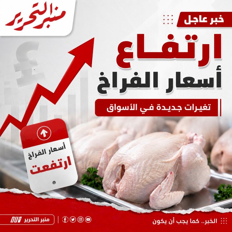 ارتفاع أسعار الفراخ اليوم الثلاثاء 14 يوليو 2026