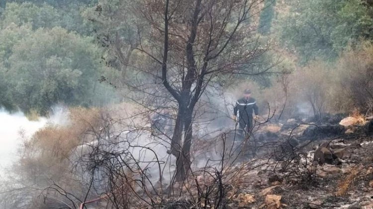 الجزائر تخمد 108 حرائق بالغابات خلال 24 ساعة