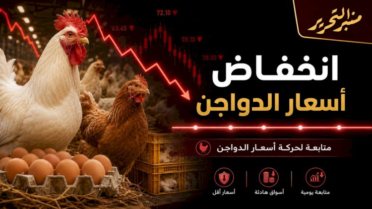 انخفاض أسعار الفراخ الثلاثاء 21 يوليو يوليو 2026