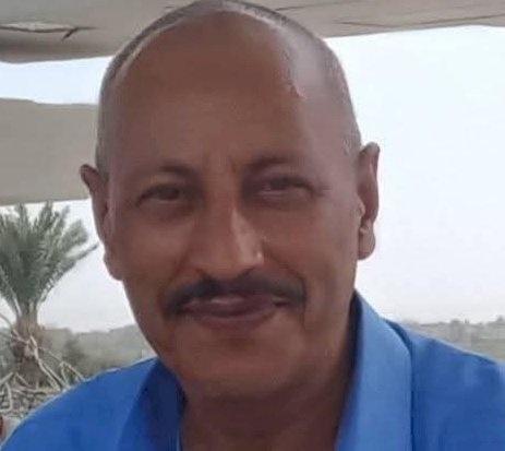 مجموعة الكلبة القصصية .. أحدث اصدارات  محمد عبدالقادر التوني