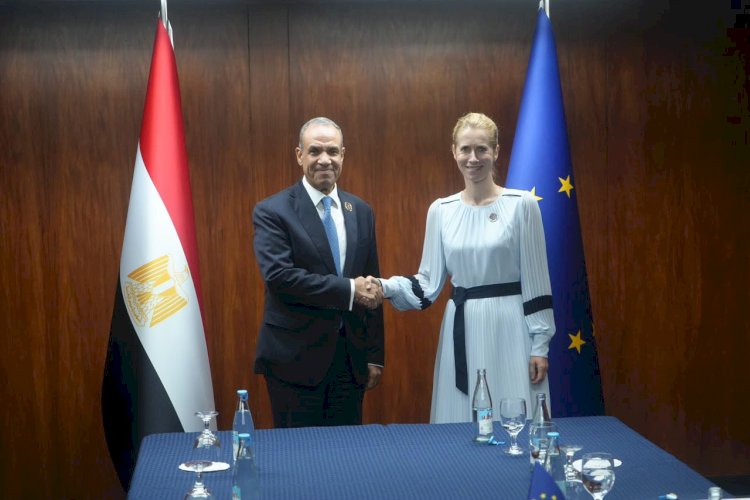 عبدالعاطي يلتقى الممثلة العليا للشئون الخارجية والسياسة الأمنية للاتحاد الأوروبي