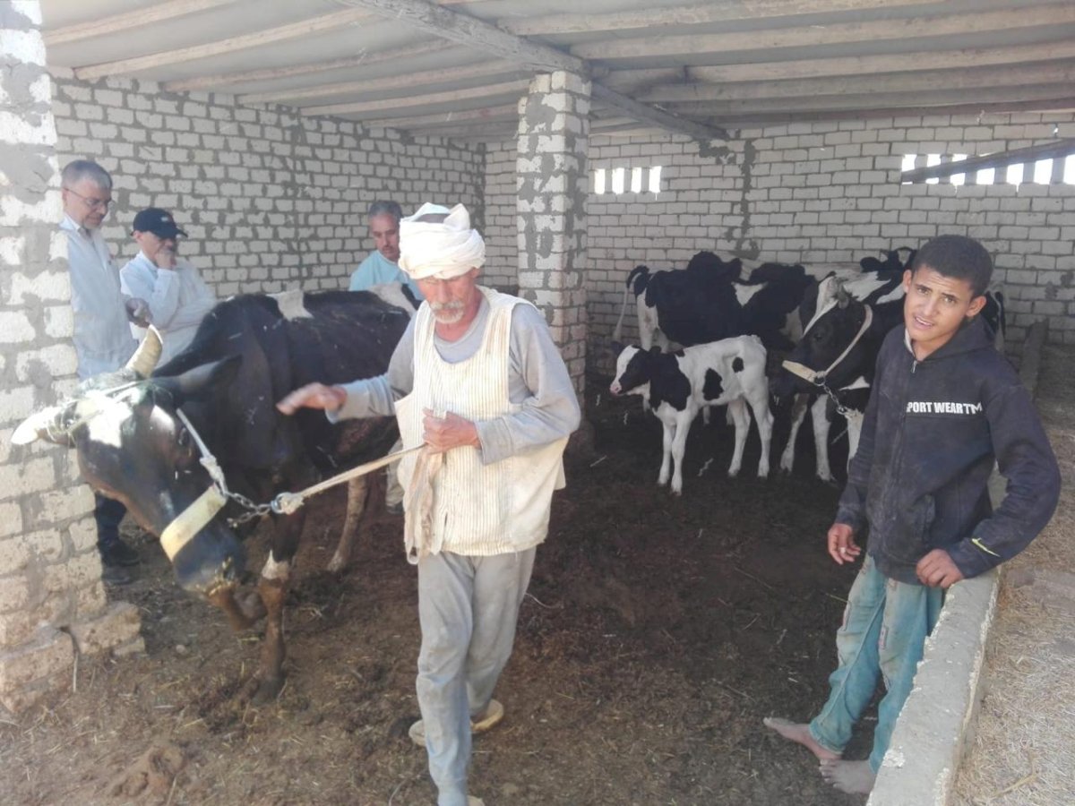 بحوث الصحراء ينفذ قافلة بيطرية لدعم الثروة الحيوانية بمنطقة المغرة