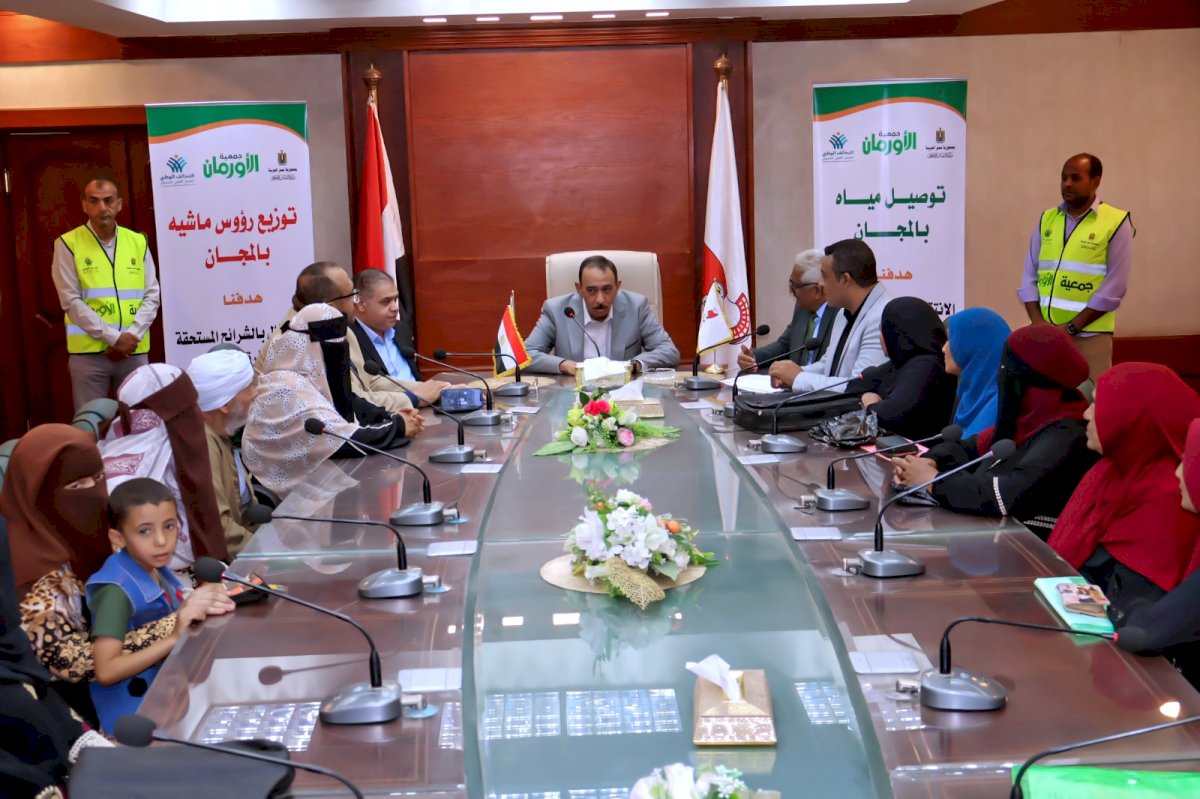 محافظ سوهاج يسلم 20 رأس ماشية عشار لـ 20 أسرة بسوهاج والمراغة  للاسر الاولي بالرعاية