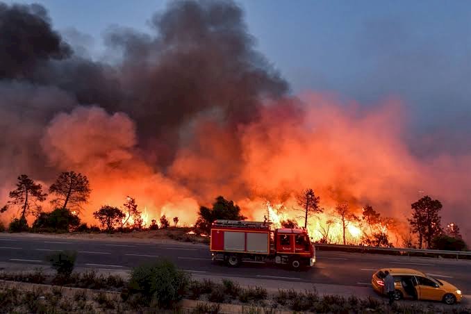 وفاة 12 شخصًا في حرائق الغابات بالجزائر