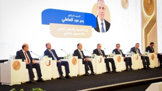 مشاركة وزارية رفيعة في جلسة سياسة الدولة لرعاية المصريين بالخارج
