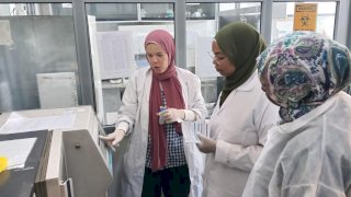 "الزراعة" تختتم تدريبًا متقدمًا للسودانيين في تشخيص الأمراض الحيوانية