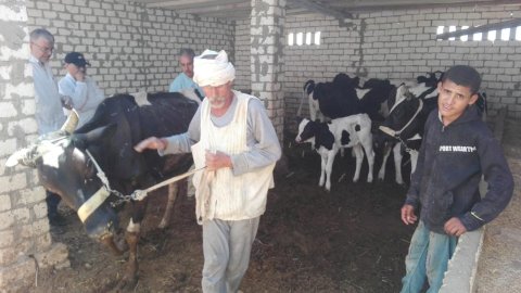 منبر