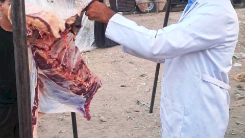 ضبط لحوم غير صالحة للاستهلاك الآدمي بسوق الهجارسة بالكوامل بسوهاج