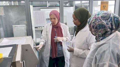 "الزراعة" تختتم تدريبًا متقدمًا للسودانيين في تشخيص الأمراض الحيوانية