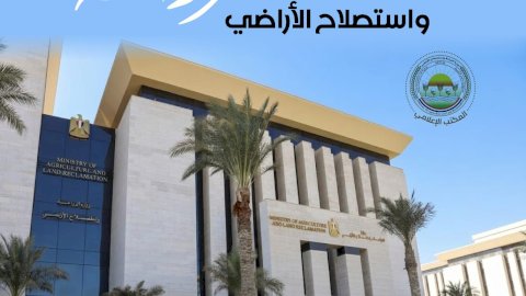 "الزراعة" تعلن تسجيل صنف "ليمون مصر 25" خالي من البذور والاشواك لزيادة الإنتاج والاستثمار