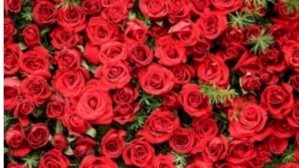 منبر