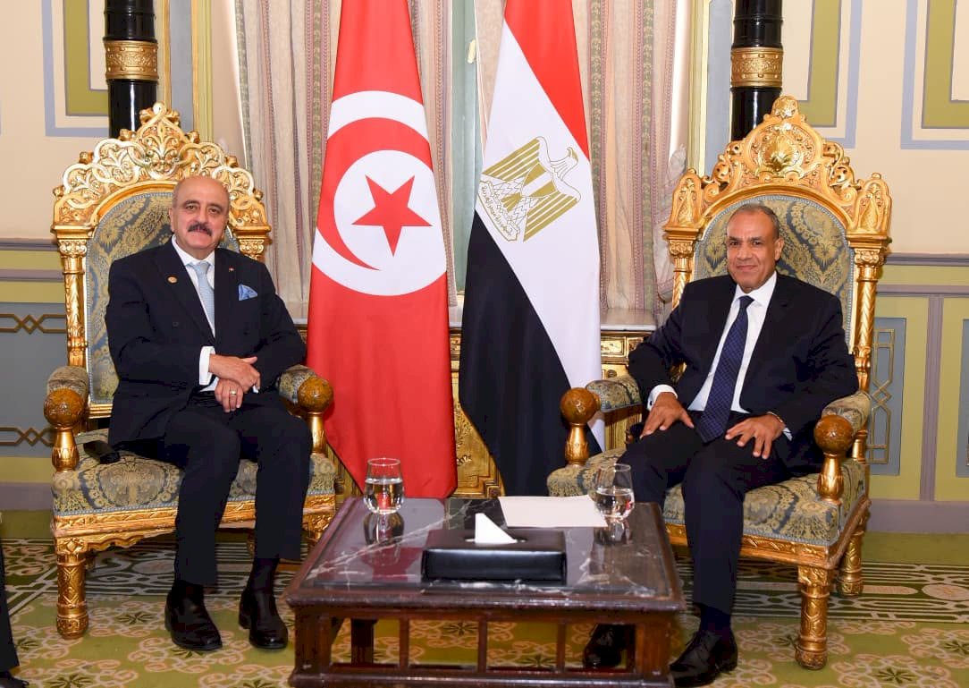 وزير الخارجية يلتقي نظيره التونسي بالقاهرة