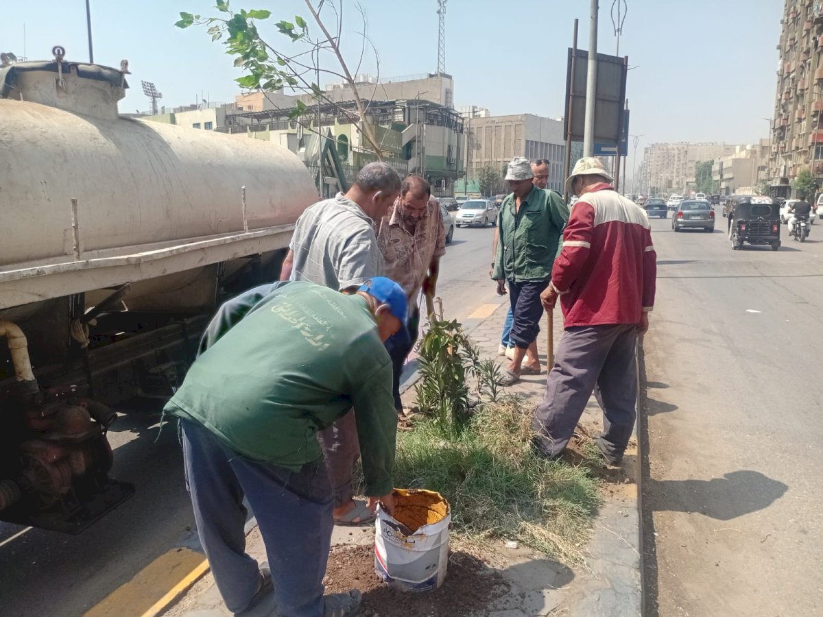هيئة النظافة والتجميل بالجيزة : البدء في مشروع تخضير المحافظة