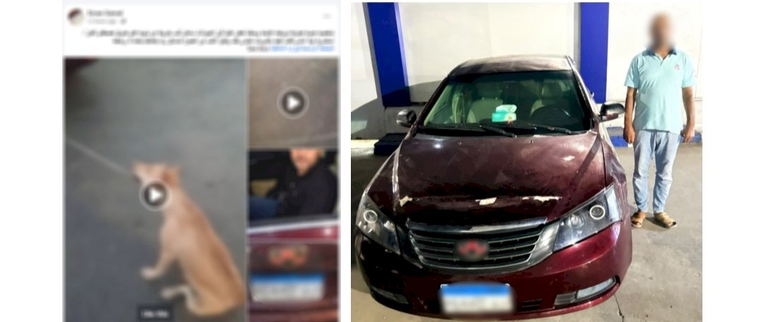 ضبط سائق لقيامه بربط كلب في السيارة وسحله بالاسكندرية
