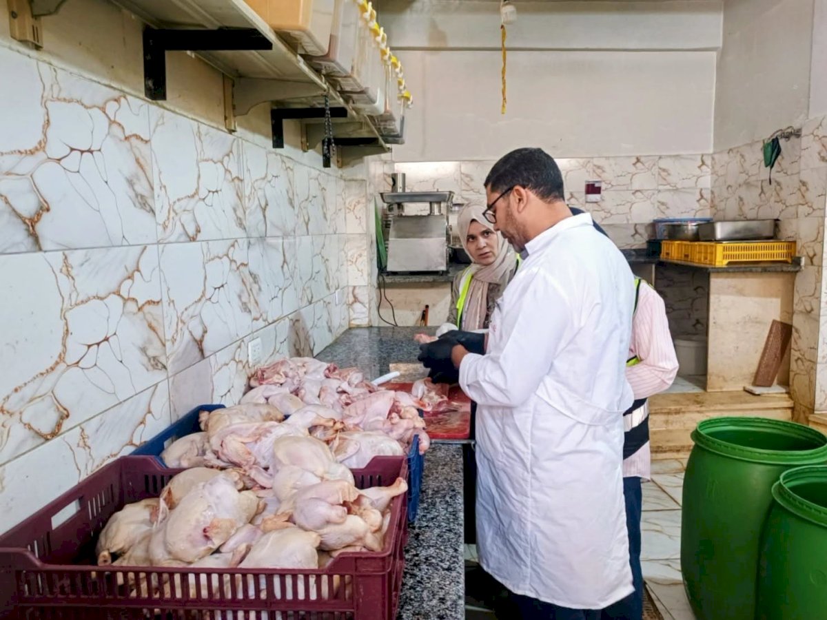 ضبط 460 كيلو لحوم دواجن غير صالحة للاستخدام الادمي بسوهاج
