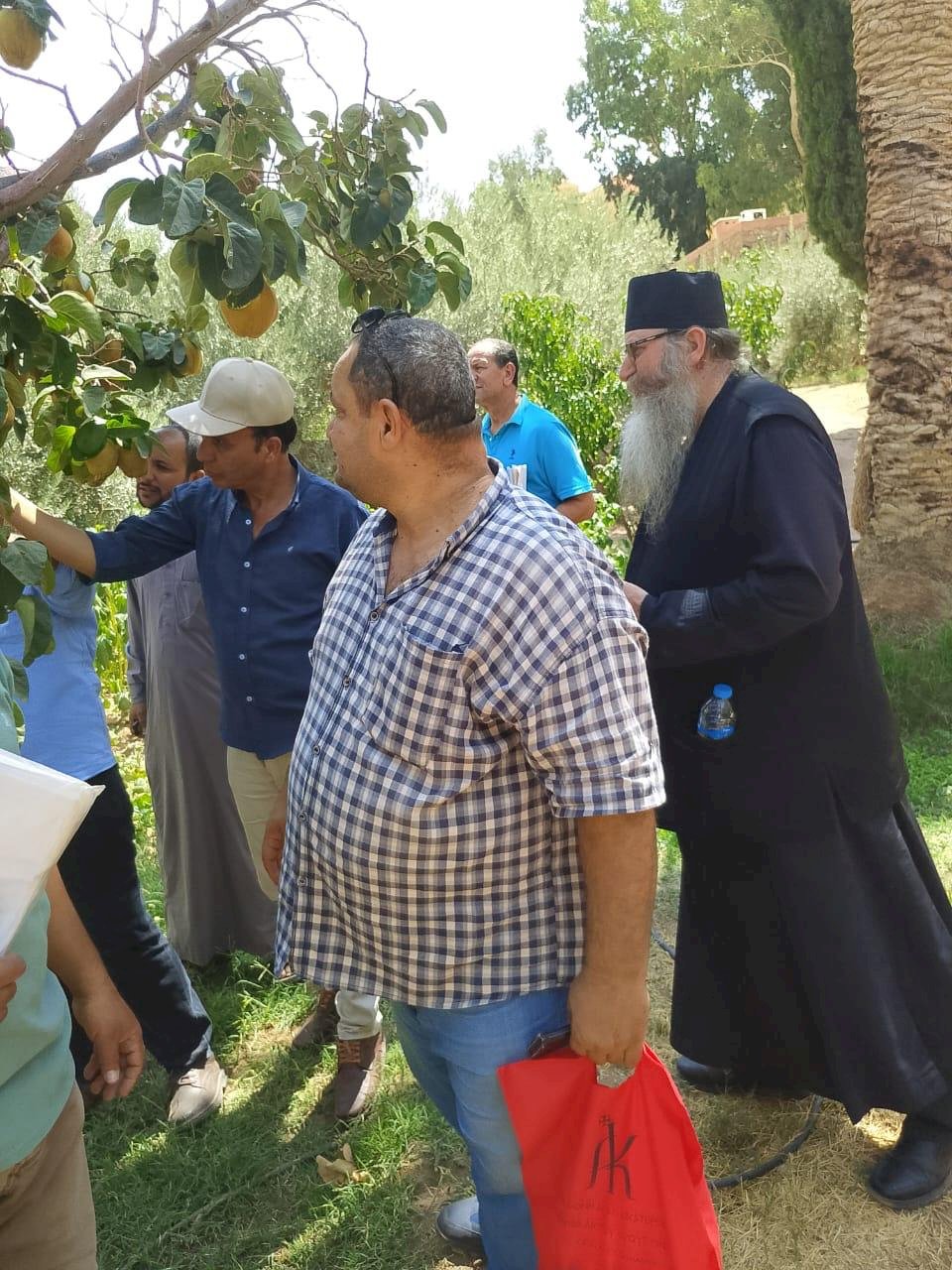 "الزراعة" تكثف جولاتها بشمال وجنوب سيناء لدعم المزارعين وحماية المحاصيل