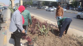 ناهد العسقلاني : مبادرة اتحضر للاخضر انطلقت بحي العجوزة