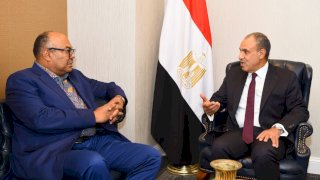 وزير الخارجية ونظيره التنزاني يبحثان تنسيق المواقف إزاء القضايا الإقليمية