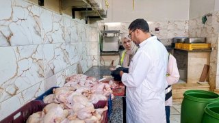 ضبط 460 كيلو لحوم دواجن غير صالحة للاستخدام الادمي بسوهاج
