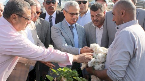 محافظ بني سويف يفتتح موسم جَني القطن داخل أحد الحقول بزمام قرية إهناسيا الخضراء