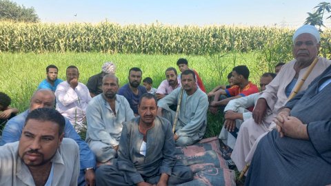 "الزراعة" تنظم برنامجاً مكثفاً لنشر ثقافة "الزراعة التعاقدية" للمحاصيل الزيتية بسوهاج